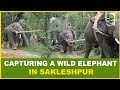 Capturing a wild elephant in sakleshpur       hassan