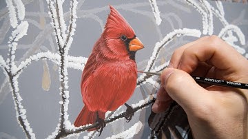 Painting a Cardinal  - Timelapse