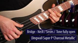 Dingwall Guitars Super P Live Demo - Bassfreaksnet