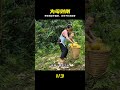 淚崩!單親媽媽徒手重建新家園,為愛堅強到讓人心疼!