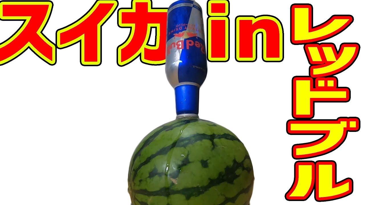 【検証】スイカにレッドブルを刺すと美味いらしい？【実験】