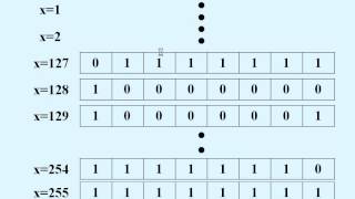 03 VARIABES CONSTANTS