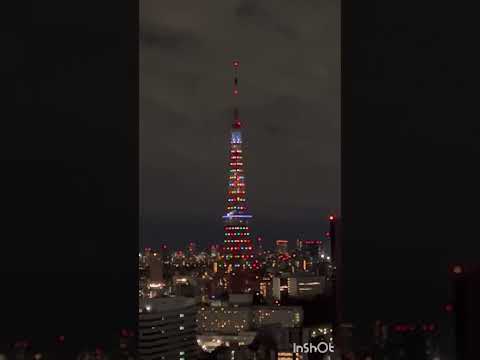 💗東京タワーのライトが消えるのを観ると幸せになるって💖東京タワーの生配信やっています#silent #official髭男#subtitle #shorts #tokyo #japan #sky