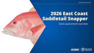 Saddletail snapper (east coast) stock assessment summary