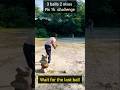 ₹1000 Cricket Challenge: 3 Balls Mein 2 Sixes! | Street Cricket Masterstroke 💥🔥 #shortsfeed #cricket