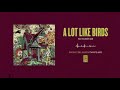A Lot Like Birds "No Nurture"