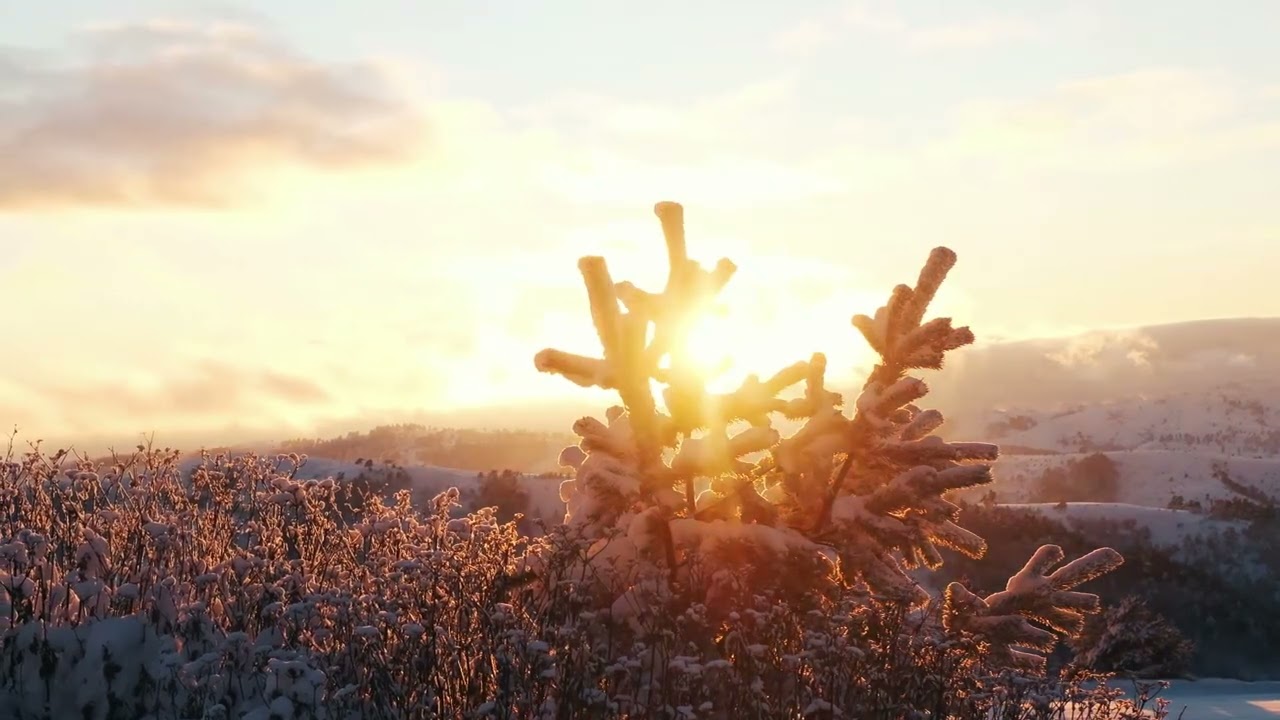 Als deine Augen Herbst waren - Massimo Conti