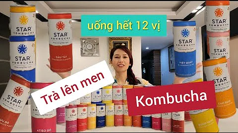 [Review] Uống 12 vị trà lên men Kombucha để tìm ra vị ngon nhất và cái kết bất ngờ.