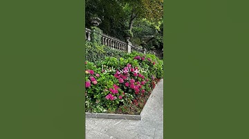 سورة الأحزاب-الشيخ علي جابر
