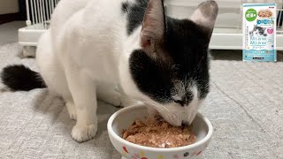 【保護猫】猫ASMR：今日のモグモグ 314days ／ MiawMiawジューシー ふっくらしらす