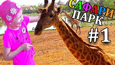 Сафари парк для всей семьи #1 Кормим и гладим Жирафа Шоу Обезьян Зоопарк в Бангкоке