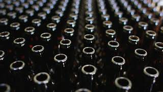 Automated industrial chain of bottles for beer and alcoholic and soft drinks the concept of industry screenshot 4