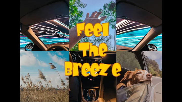 Feel The Breeze (Official Music Video)