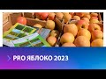 5 я юбилейная международная выставка «PRO ЯБЛОКО 2023» прошла на Ставрополье