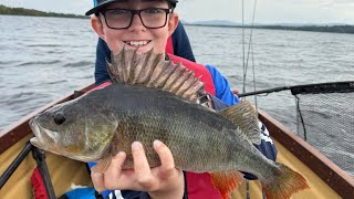40cm Perch to Complete the Species Hunt on Lough Derg!