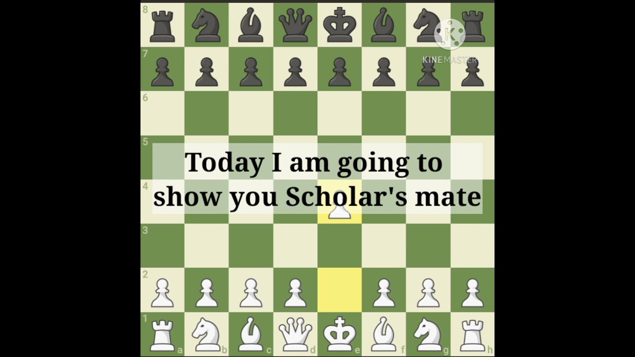 chess 4 moves checkmate