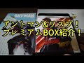 【MARVEL】【ANT-MAN AND THE WASP】【アントマン&ワスプ】【プレミアムBOX】【HERO WORLD】