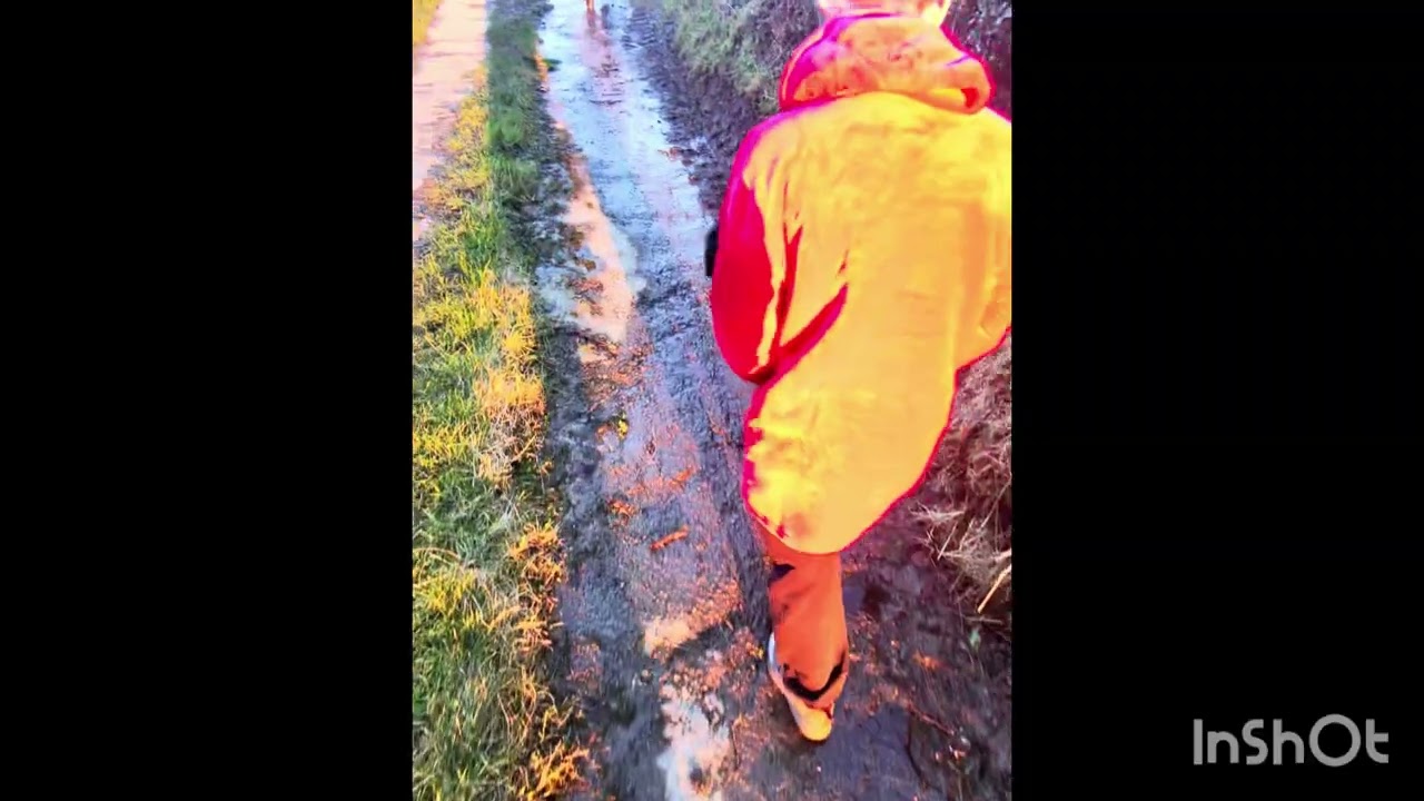 Testing out my meta glasses