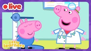 π΄ LIVE! Peppa Pig's Learning Adventures! π¦ Peppa's Playgroup: Little Learners π· Kids Cartoons