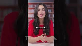 Next Philosopher Isn’t Human