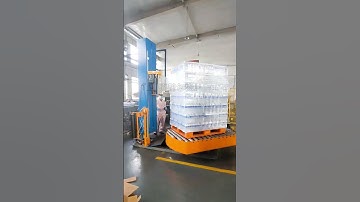 An automatic online turntable pallet stretch wrapping machine can connect with the conveyor.#shorts