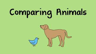 Comparing Animals