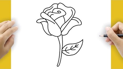How to Draw a Realistic Rose Step by Step | Easy Tutorial for Beginners