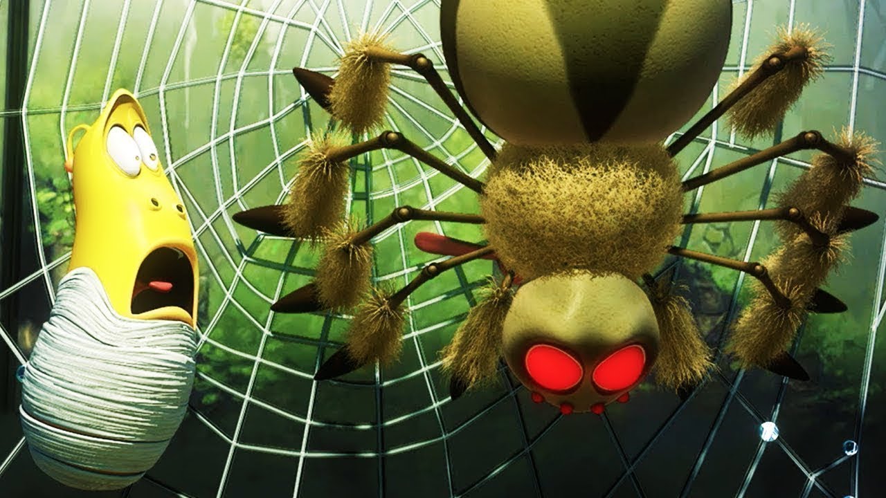 Wie eine Spinne ihr Netz baut