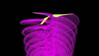 Wind turbine wake