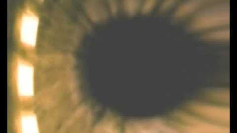 Fields of memory and image registration.