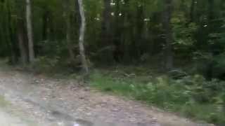 'Tennessee' My perfect bug out location by Jason’s Adventures 378 views 8 years ago 5 minutes, 5 seconds