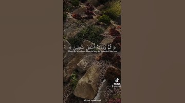 من اجمل الاصوات سوره التين والزيتون