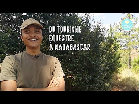 Vidéo: Graphiques Britanniques: Madagascar Est L'attraction De La Crinière