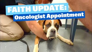 Faith Update  Oncologist Appointment #boxer #cancer