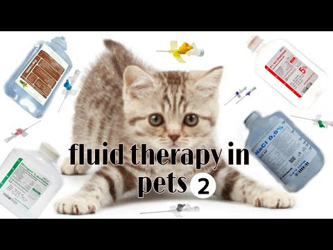 حساب جرعه المحاليل في الحيوانات الاليفه وطريقه إعطاء المحلول..giving fluid therapy to pets #طب_بيطري