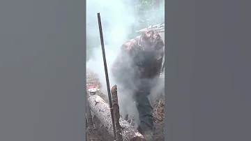 Почему КЛЕЩЕЙ больше СЕЙЧАС - чем РАНЬШЕ     -     Энцефалитный клещ вас больше не укусит КЛЕЩ