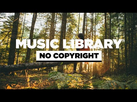 DayFox - Departure (Vlog No Copyright Music)