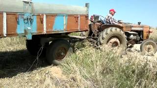 Fiat 415 in feryadı