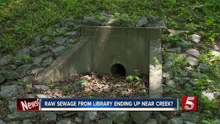 Brentwood Library Plumbing Mistake May Have Dumped Sewage Near Creek