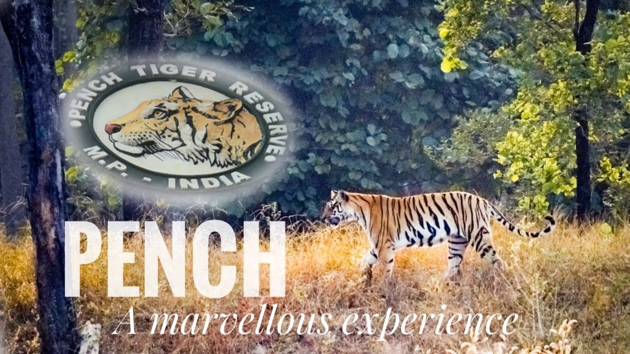 Pench Wildlife Sanctuary Is Located In Which State