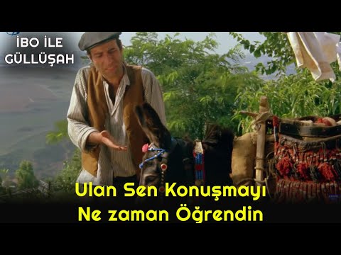 İbo İle Güllüşah  - Ulan Sen Konuşmayı Ne Zaman Öğrendin!