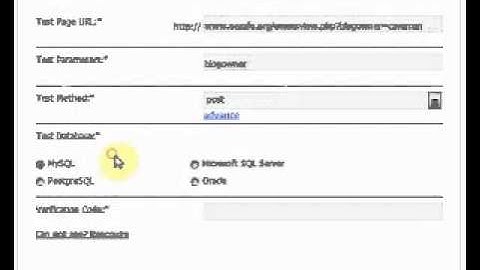 Free Online Sql Injection Test (targeted at HTTP POST based parameters)_1
