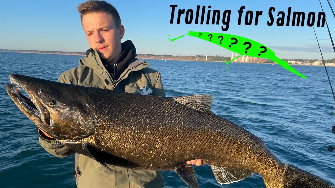 Southeast winter king salmon troll catch falls short of limit at