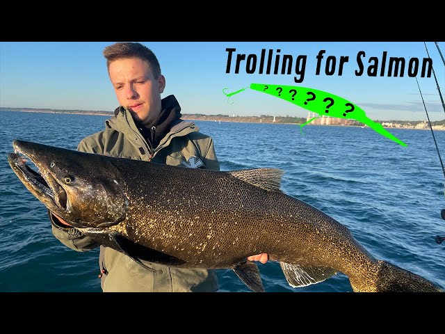 How to Troll for GIANT Early Fall King Salmon and Coho! (PB Caught!) 