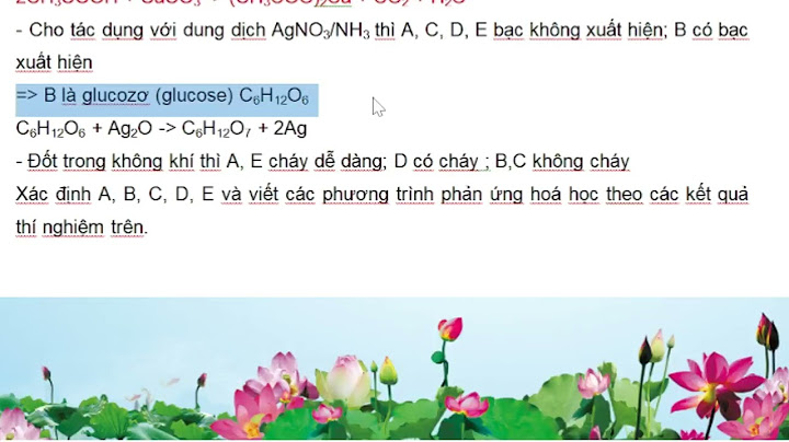 Ancol etylic tác dụng với chất nào sau đây năm 2024