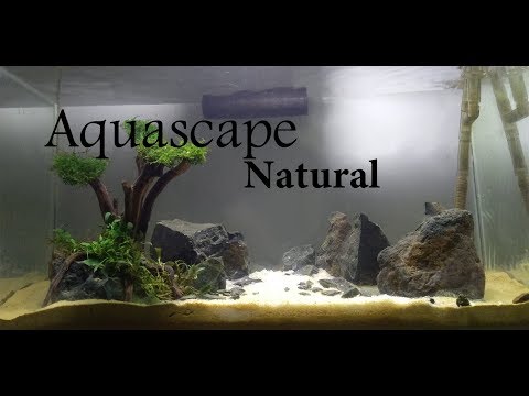 aquascape-#6-low-budget-natural-aquascaping-|-batu-sungai-|-no-co2-|-tanpa-co2