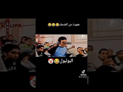 البولبول