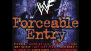 Never Gonna Stop (The Black Cat Crossing Mix)