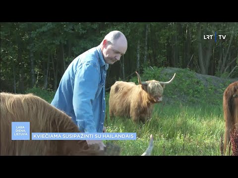 Video: Kodėl ūkininkai perkelia galvijus?