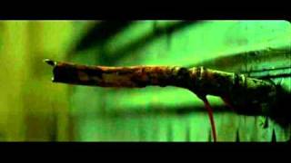 Fragile (2005) - End Scene